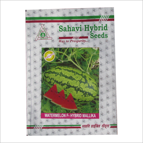 Green Watermelon F1 Hybrid Mallika