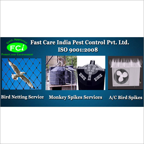 Industrial Bird Spike Service