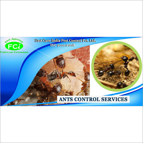 Ants Control Service