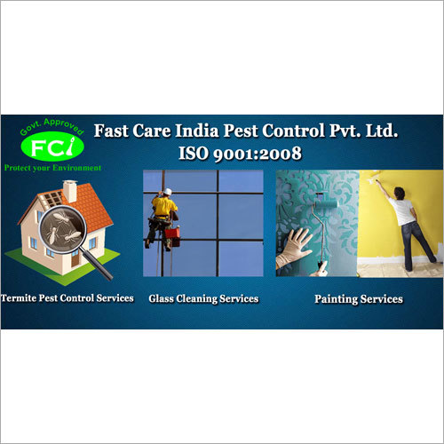 Termite Pest Control Service - Eco-Friendly Treatment, International Safety Standards, Effective Prevention Against Damage
