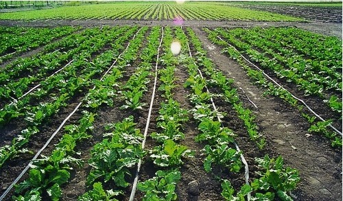 Agriculture Irrigation Systems