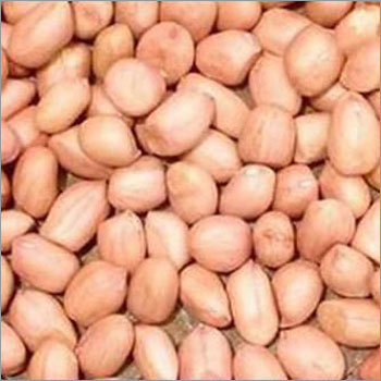 Groundnut Kernels