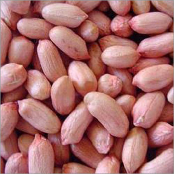 Peanuts Kernels