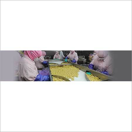 Ozonator for Food Processing