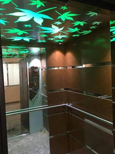 Stretcher Elevators Speed: 1 Mm/M