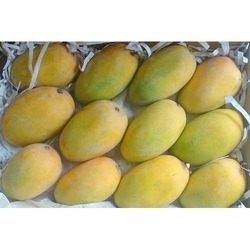 Fruit Having A Red Blush On Its Shoulders Kesar Mango