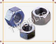 Cold Forged Hex Nut 