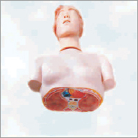 Basic CPR Manikin - PVC Material, Half Body Design | Skin Color, Warranty Included