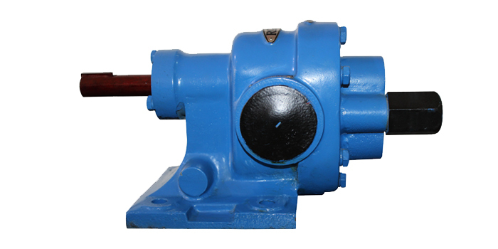 Stainless Steel Rotary Gear Pump Type Rdrn