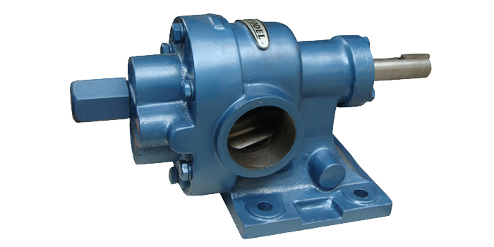 Stainless Steel Rotary Gear Pump Type Rdrn