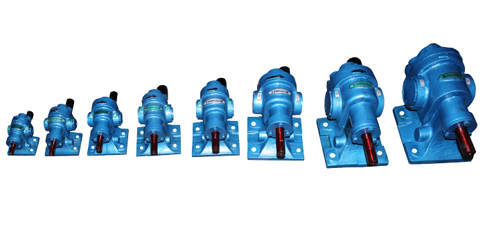 Stainless Steel Rotary Gear Pump Type Rdrn