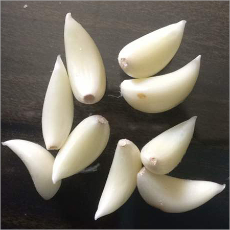 Fresh Garlic
