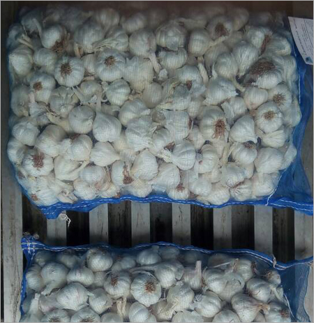 Fresh Garlic