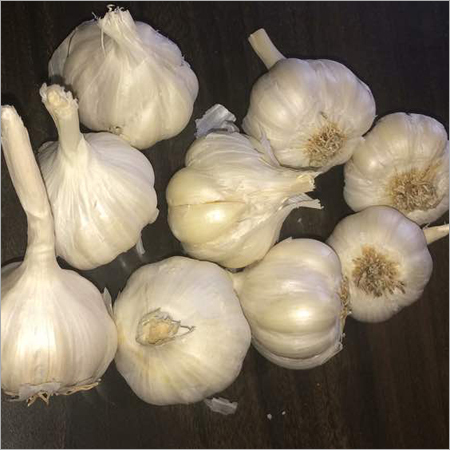 Fresh Garlic