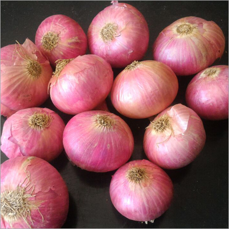 Fresh Onion