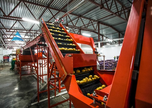 Hinge Conveyor - Mild Steel Structure, Slat Conveyor Design | Versatile Handling for Heavy Duty Scrap and Mixed Chip Loads