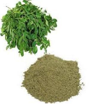 Indigo Powder - Ingredients: Herbs