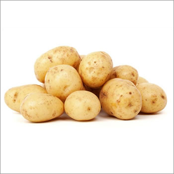 Fresh Potato
