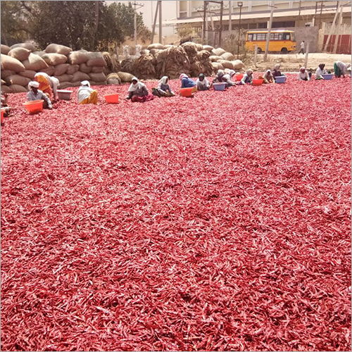 लाल मिर्च