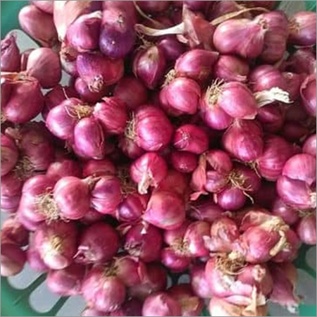 छोटी प्याज