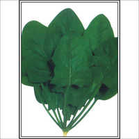 Harihar - Spinach (Palak) (Open Pollinated) Seeds
