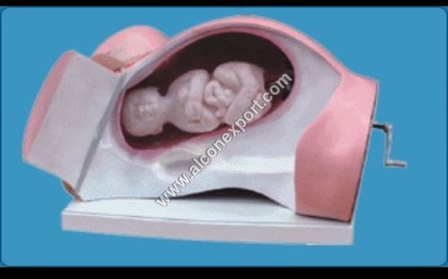 नर्सिंग इम्पोर्टेड मॉडल कलर कोड: पिंक (गुलाबी) और सफ़ेद