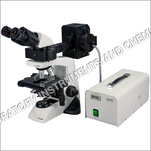 फ्लोरोसेंट माइक्रोस्कोप आवर्धन: उच्च