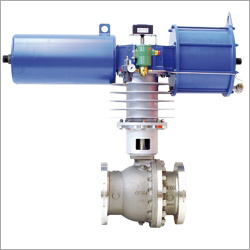 Specialty Valves