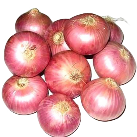 ताजा लाल प्याज