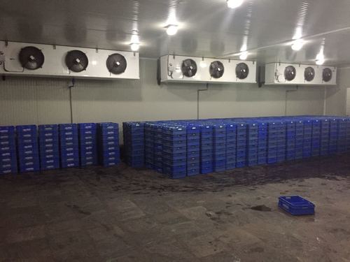 Milk Storage Room