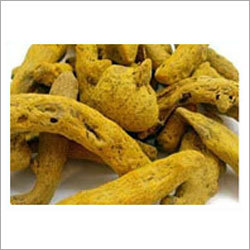 हल्दी की अंगुली