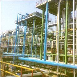 उबलता हुआ घर का पौधा