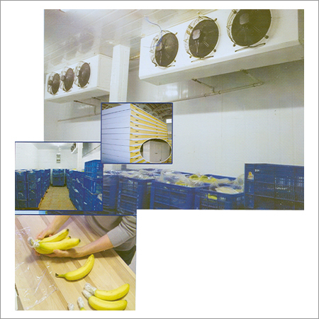 Banana Ripening Processing Plant