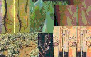 ट्राई पै मिक्स