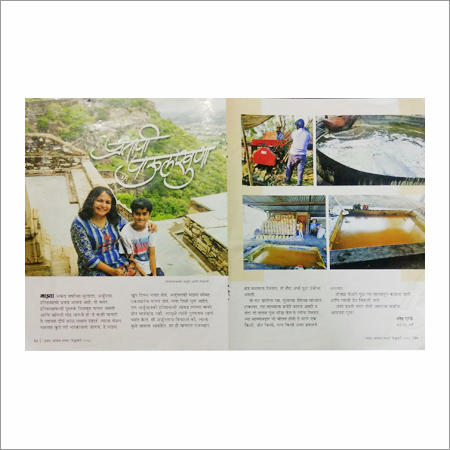 Newspaper Pamphlet services