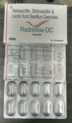 Amoxycillin 250mg  Dicloxacillin 250mg  Lactic Acid Bacillus 60 million Spores