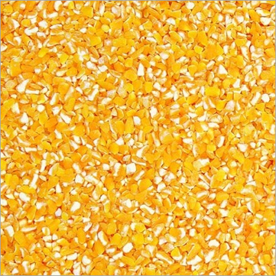 मक्के का टूटा हुआ बीज