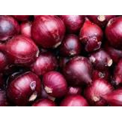 लाल प्याज