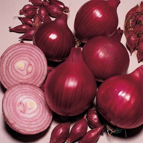 Organic Onion