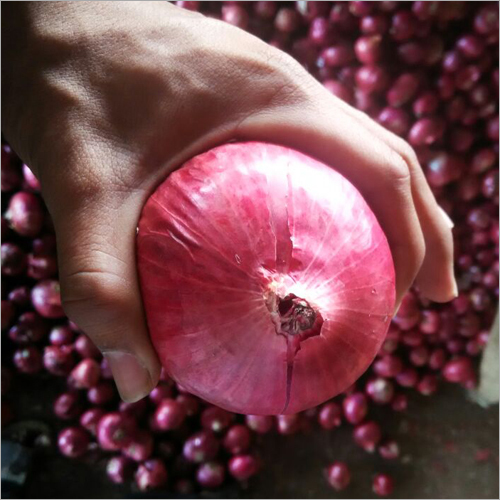 Fresh Red Onion - Whole | Red Color, Typical Taste, Dried Vegetable Type