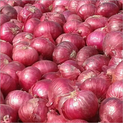 Fresh Red Onion - Whole | Red Color, Typical Taste, Dried Vegetable Type