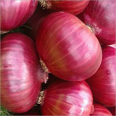 Fresh Red Onion - Whole | Red Color, Typical Taste, Dried Vegetable Type