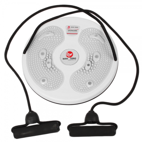 Twisting Disc Exerciser
