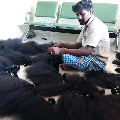 Human Hair