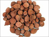 Terminalia Belerica Dry Extract Purity(%): 100 %