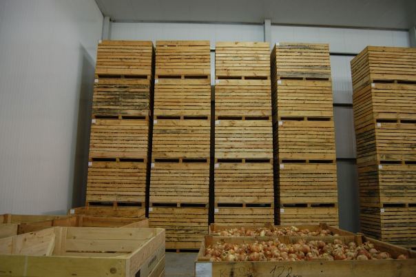 Cold Storage - Steel, Customizable Dimensions | Iso 9001 Compliant, Rust Proof, Fast Freezing, Easy Use, Cost Efficient, Polyurethane Insulation