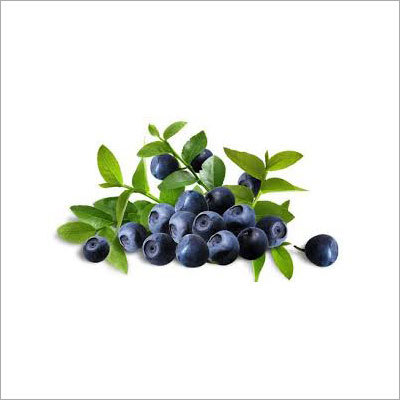 Bilberry Extract - Grade: Food Grade