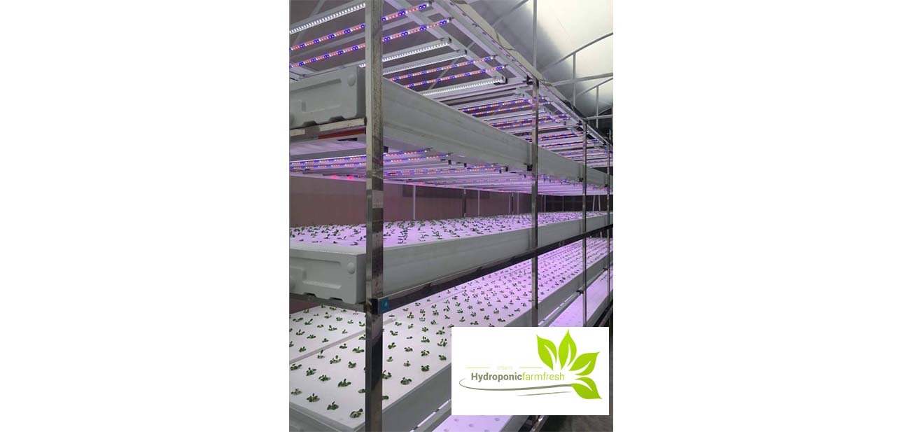 Hydroponic Farmer