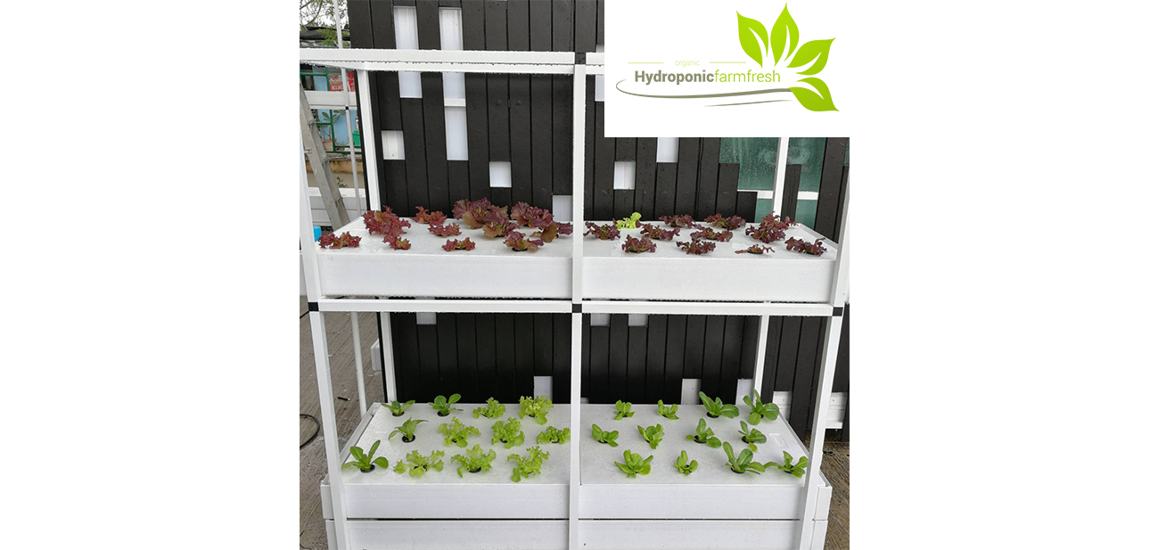 Hydroponic Farmer
