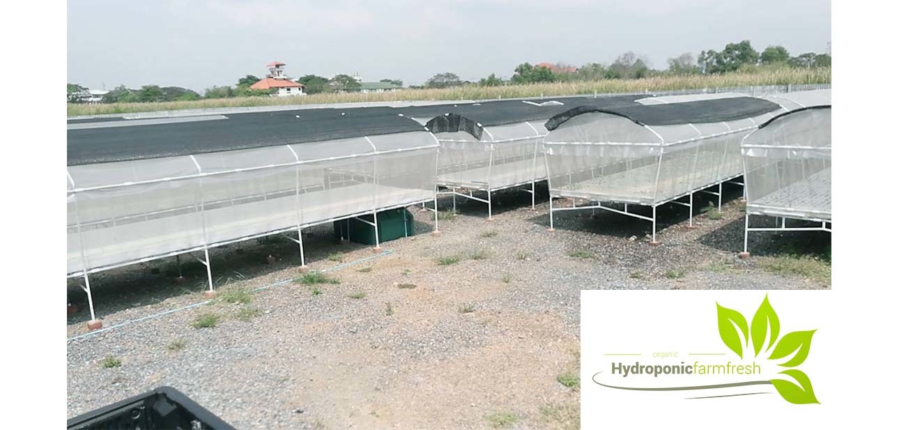 Hydroponic Farming